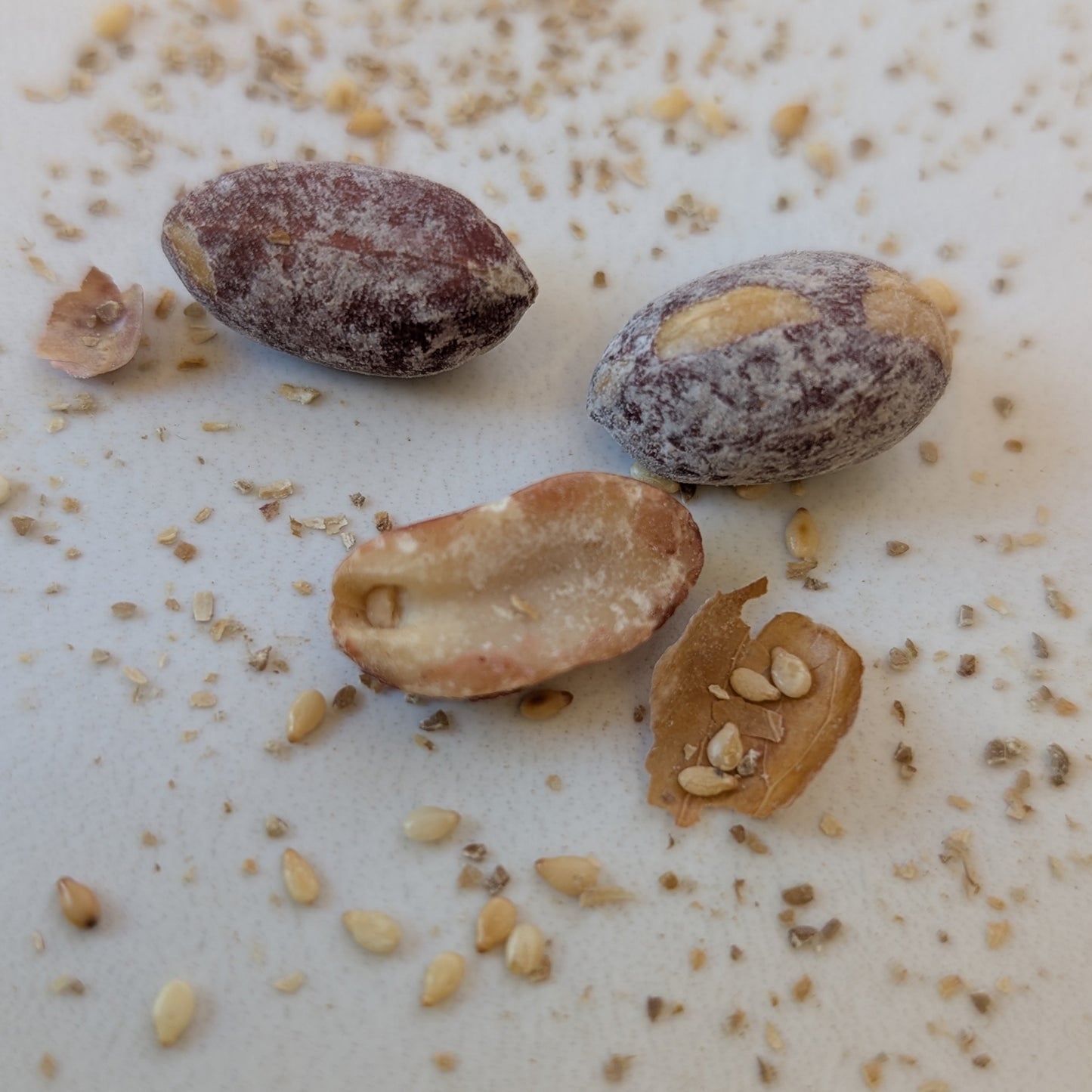Dukkah